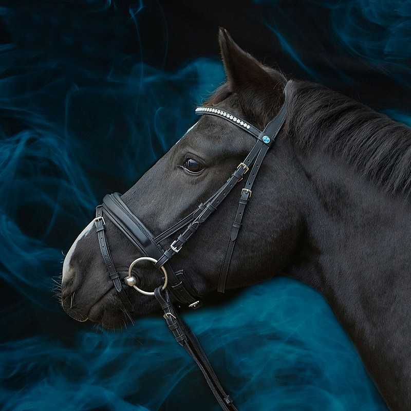 Cabeçada Kieffer Essentials Lara com brilhantes