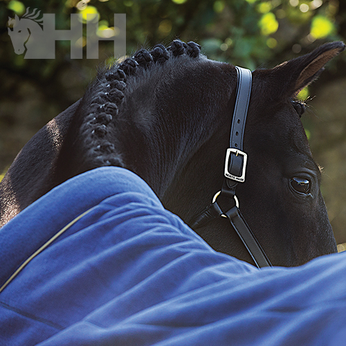 COBREJÃO RAMBO POLAR COSY