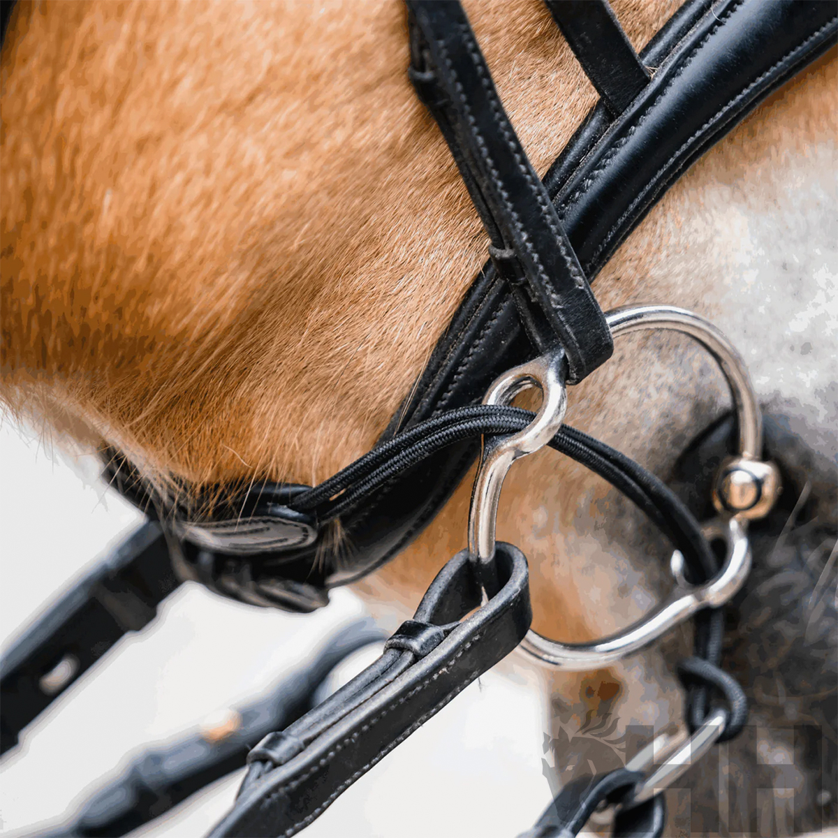 HASTE SPRENGER BASIC DE FECHO PARA BRIDÃO ELEVADOR COURO/FIBRA