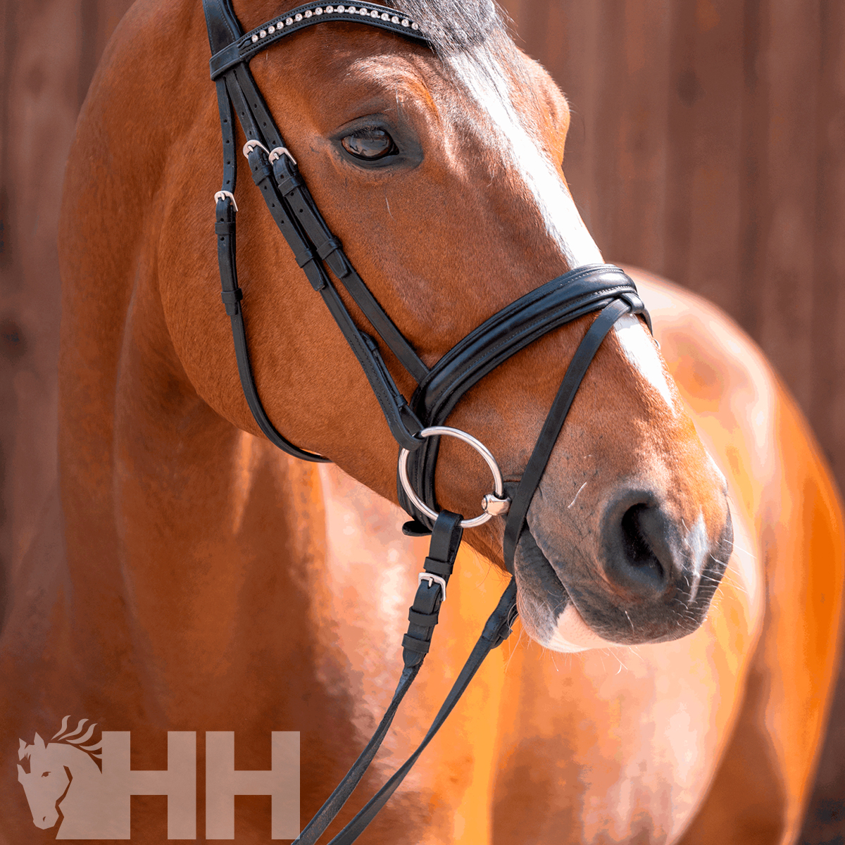 BRIDÃO SPRENGER DYNAMIC RS ARGOLA 70mm TRIPARTIDO