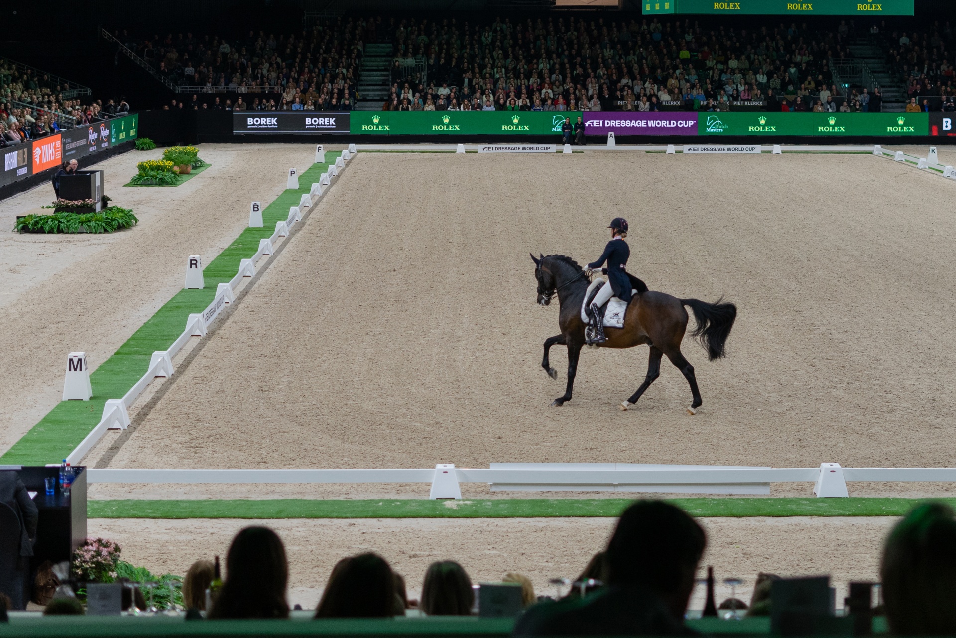 CARRIÈRE PISTA DRESSAGE 20X40M  S/LETRAS