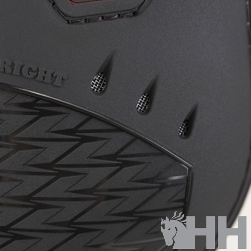 PROTETOR ZANDONÀ CARBON AIR PÓNEI BOLETO (PAR)