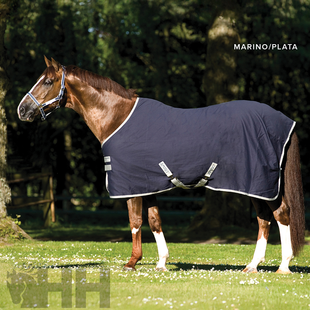Cobertura azul marinho para cavalo com detalhes prateados