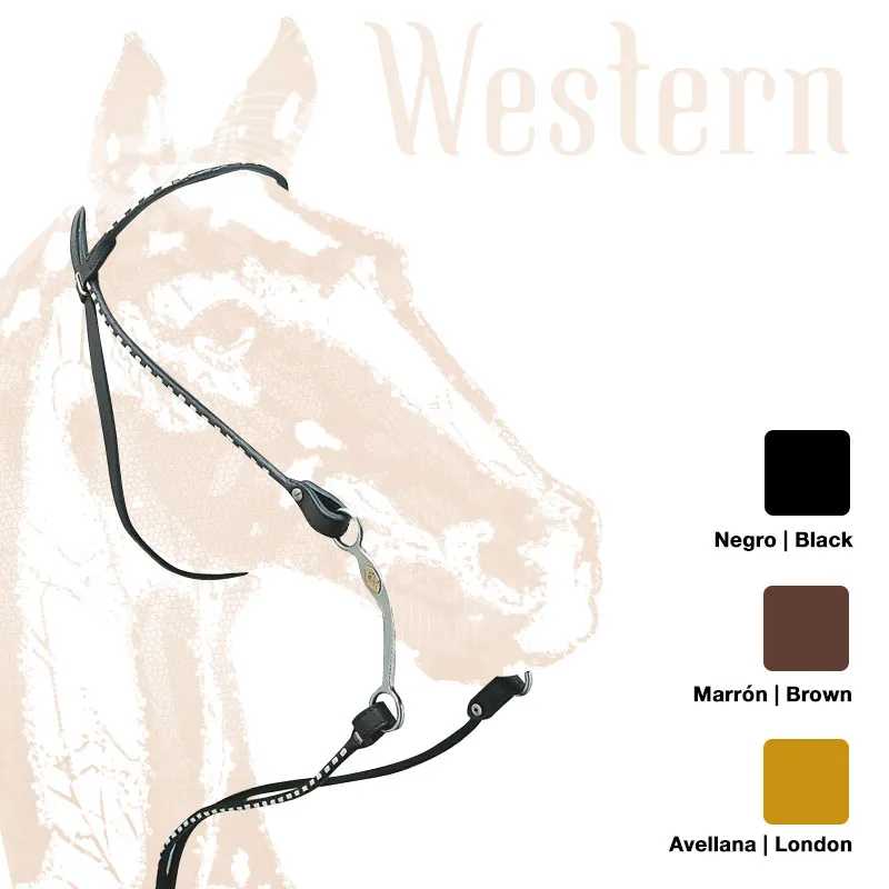 Cabeçada de cavalo em couro preto com costuras e ferragens, fundo com desenho de cavalo e amostras de cores