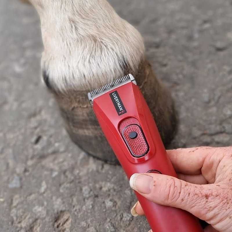 Máquina de Tosquia LIVERYMAN NOVA