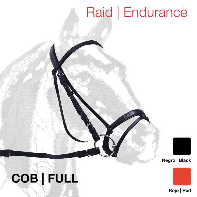 Cabresto de cavalo preto em couro com fivelas sobre fundo branco com texto