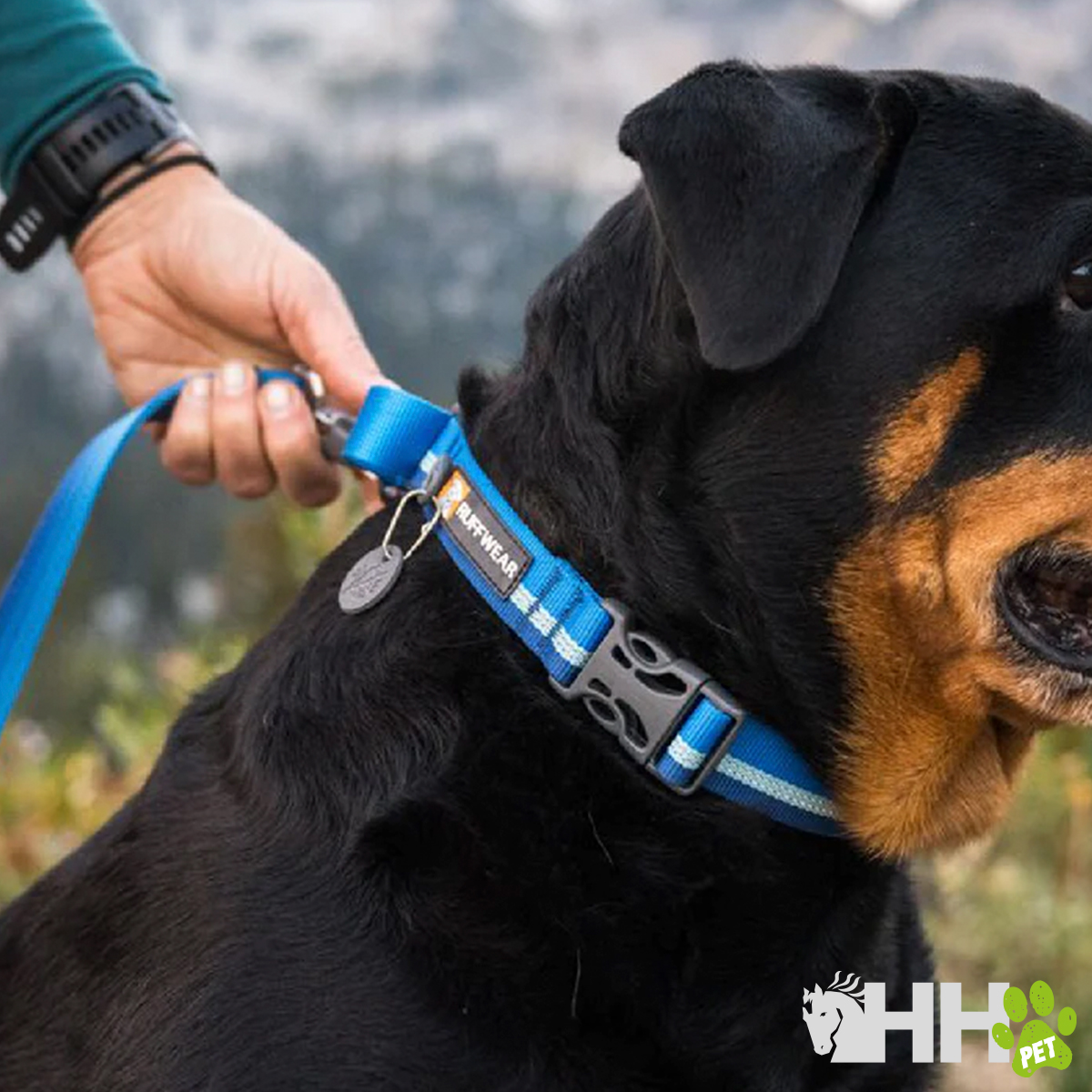 COLEIRA MARTINGALA COM FIVELA RUFFWEAR PARA CÃES WEB REACTION