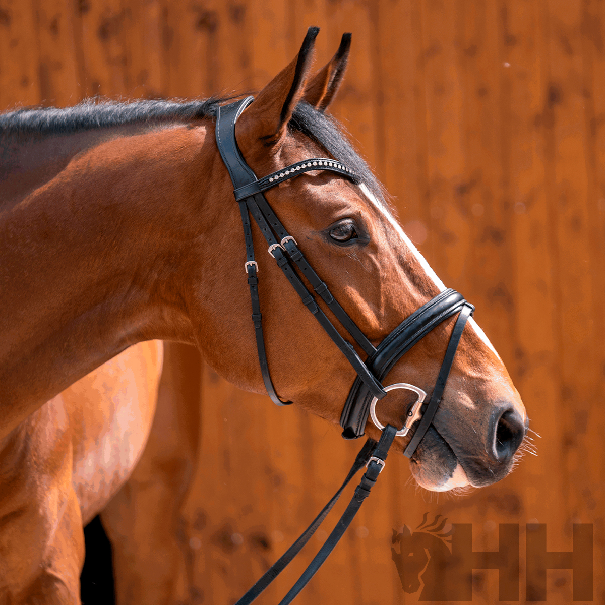 BRIDÃO SPRENGER DYNAMIC RS OLIVA ARGOLA D 65mm BIPARTIDO