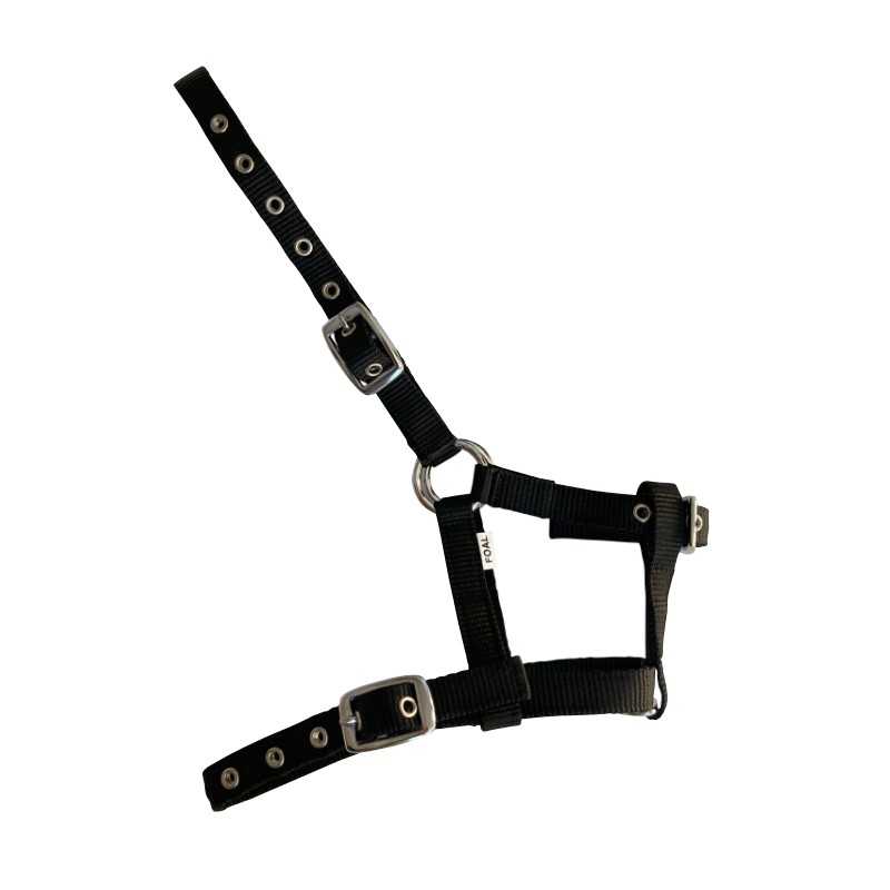 CABEÇÃO DE NYLON para poldro