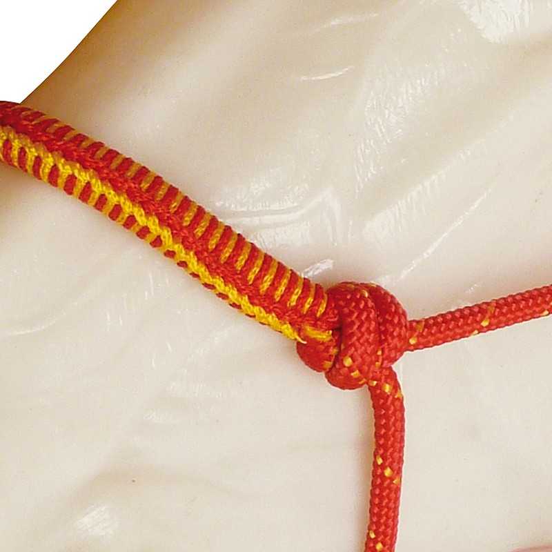 CABEÇÃO DE CORDA com focinheira forrada com prisão