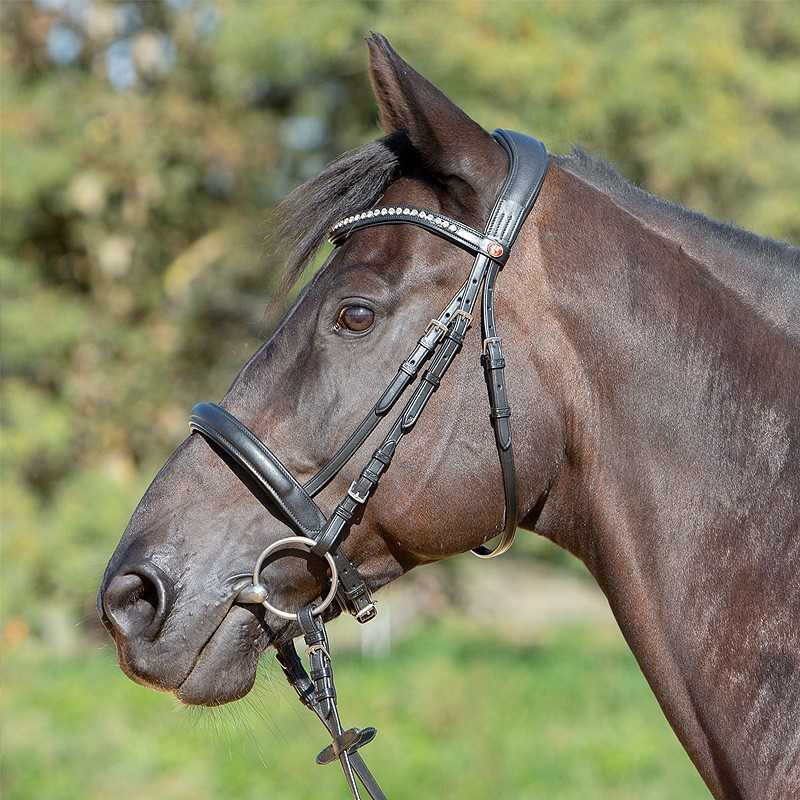 Cabeçada para bridão Kieffer Ultrasoft Sue