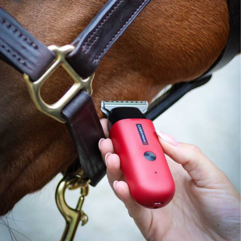 Máquina de Tosquia Aparadora de Retoques LIVERYMAN ROBIN