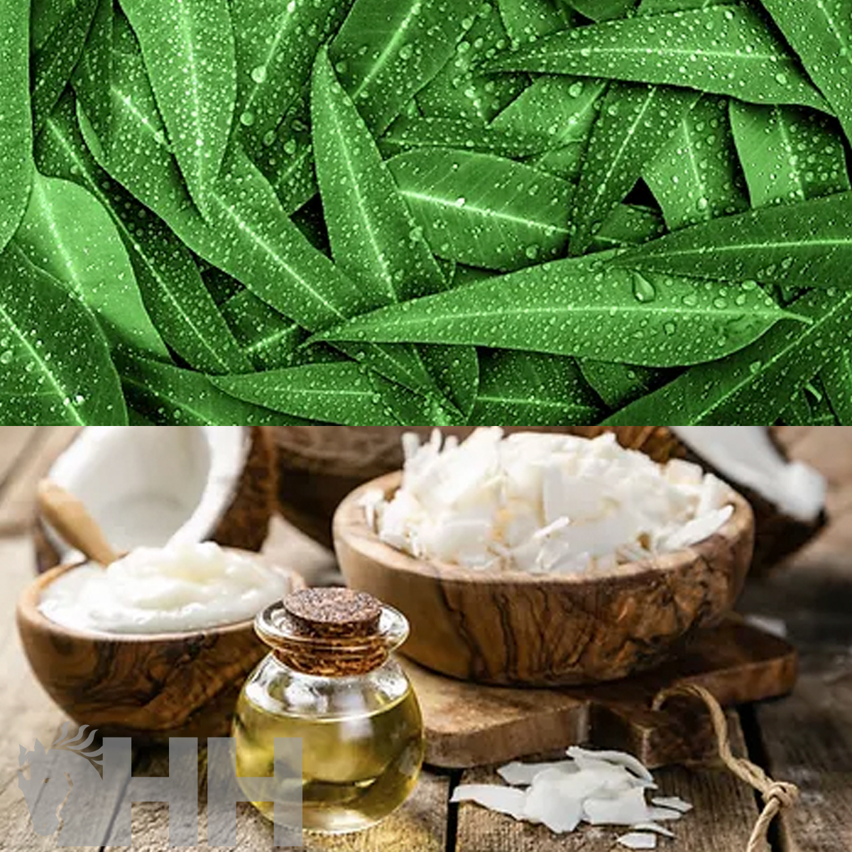 UNTO LEOVET HOOF LAB PARA CASCOS