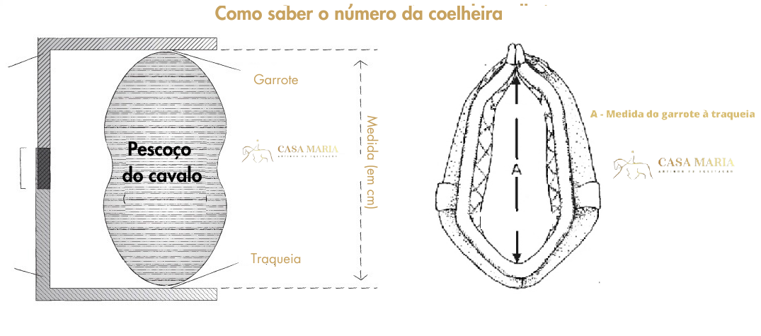 Qual a medida adequada de coelheira para o meu cavalo?