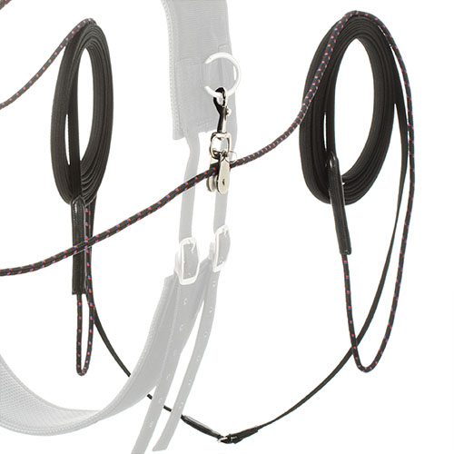 RÉDEAS LEXHIS LONGAS (9 METROS CADA) LONA COM POLIAS