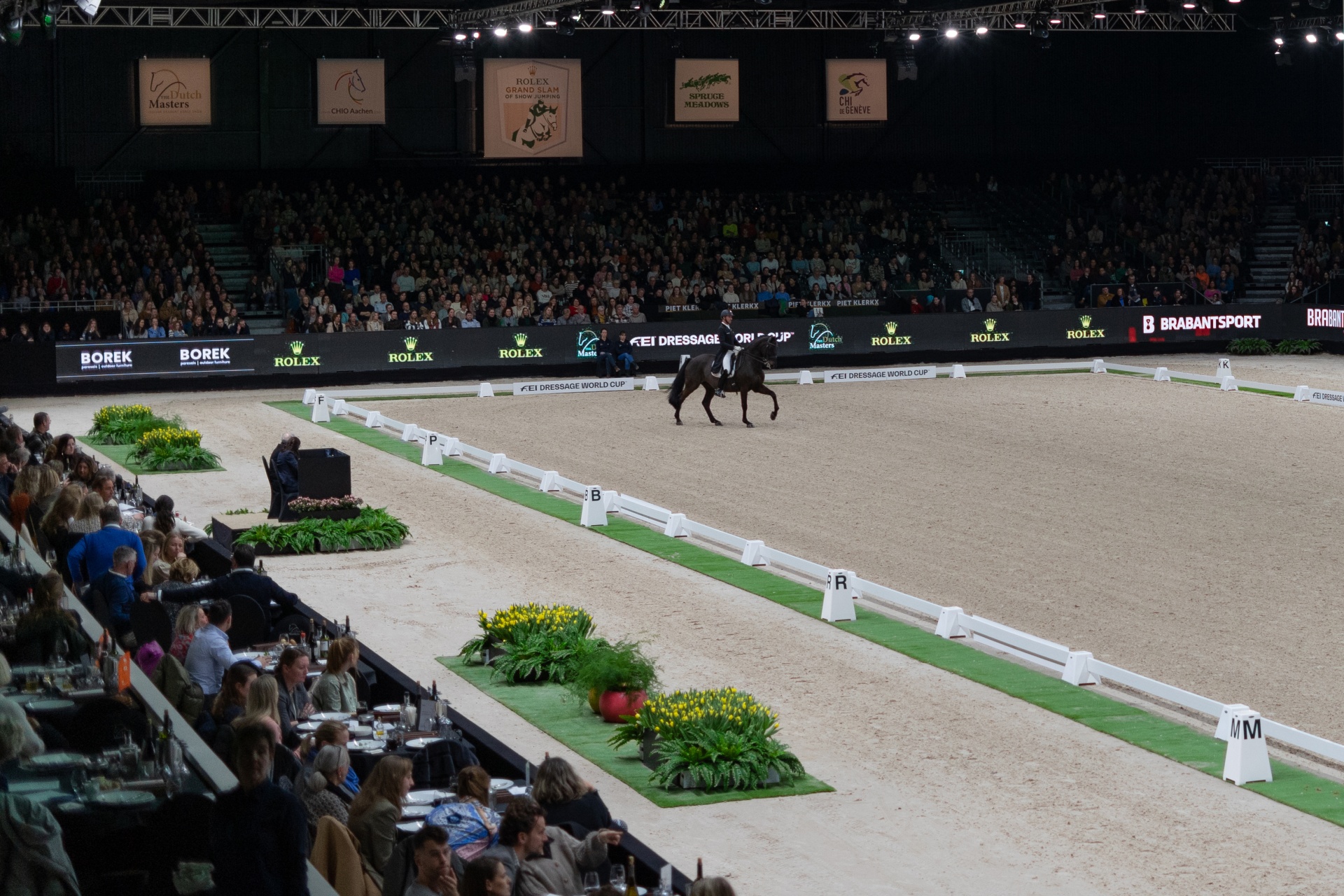 CARRIÈRE PISTA DRESSAGE 20X40M  S/LETRAS