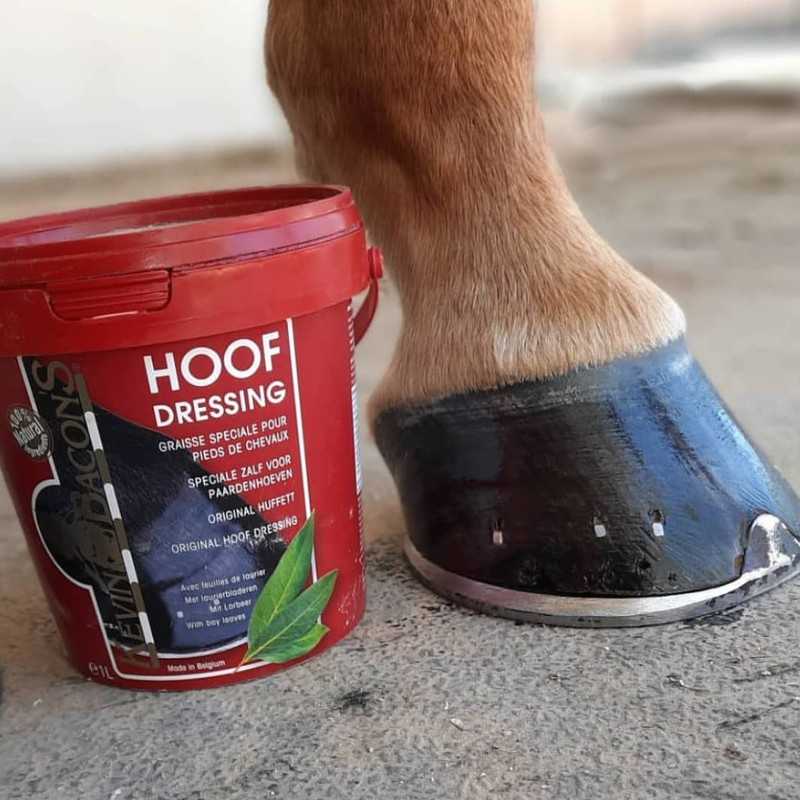 Unto para cascos KEVIN BACON'S HOOF DRESSING