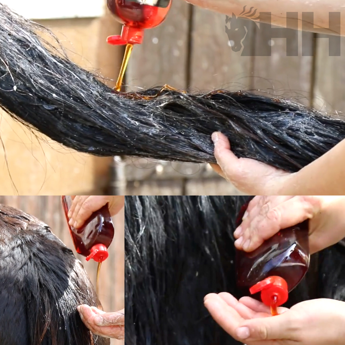 CHAMPÔ LEOVET POWER PARA CAVALOS DE PELAGEM ESCURA