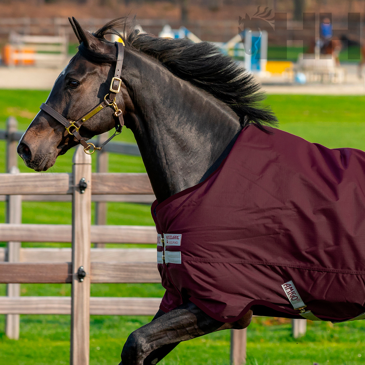 COBREJÃO AMIGO HERO 600 EXTERIOR EXTRA LIGHT COM FORRO POLAR (50g + forro polar)