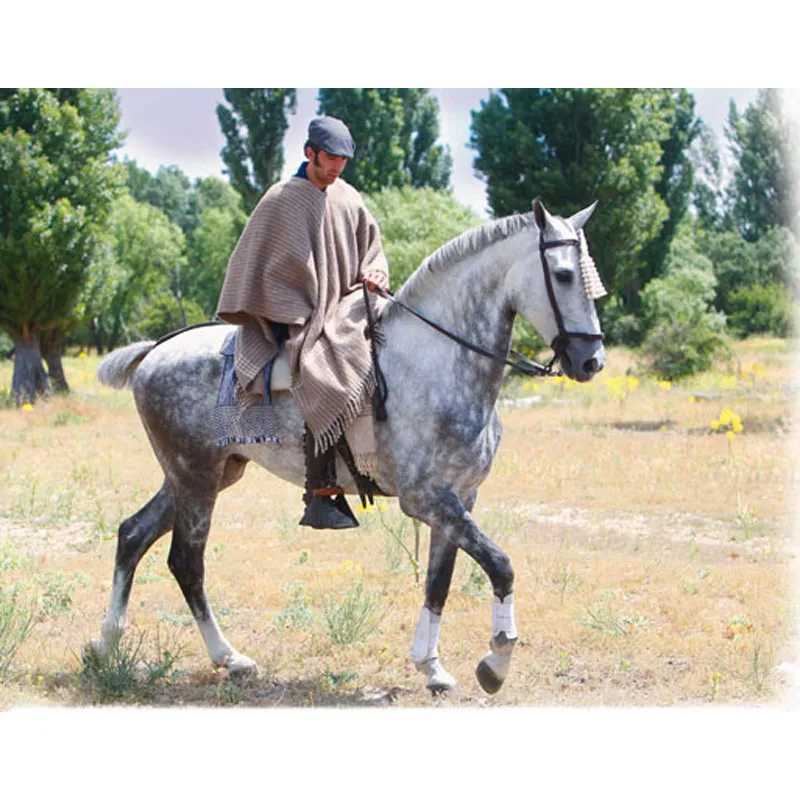 PONCHO ROCIERO DE LÃ