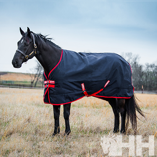 COBREJÃO RAMBO ORIGINAL EXTERIOR MEDIUM (200g)