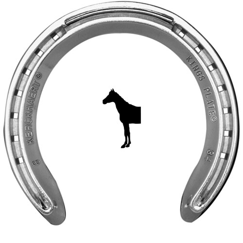 FERRADURA KERCKHAERT KINGS PLATE ALUMÍNIO SEM ARPÃO DIANTEIRA