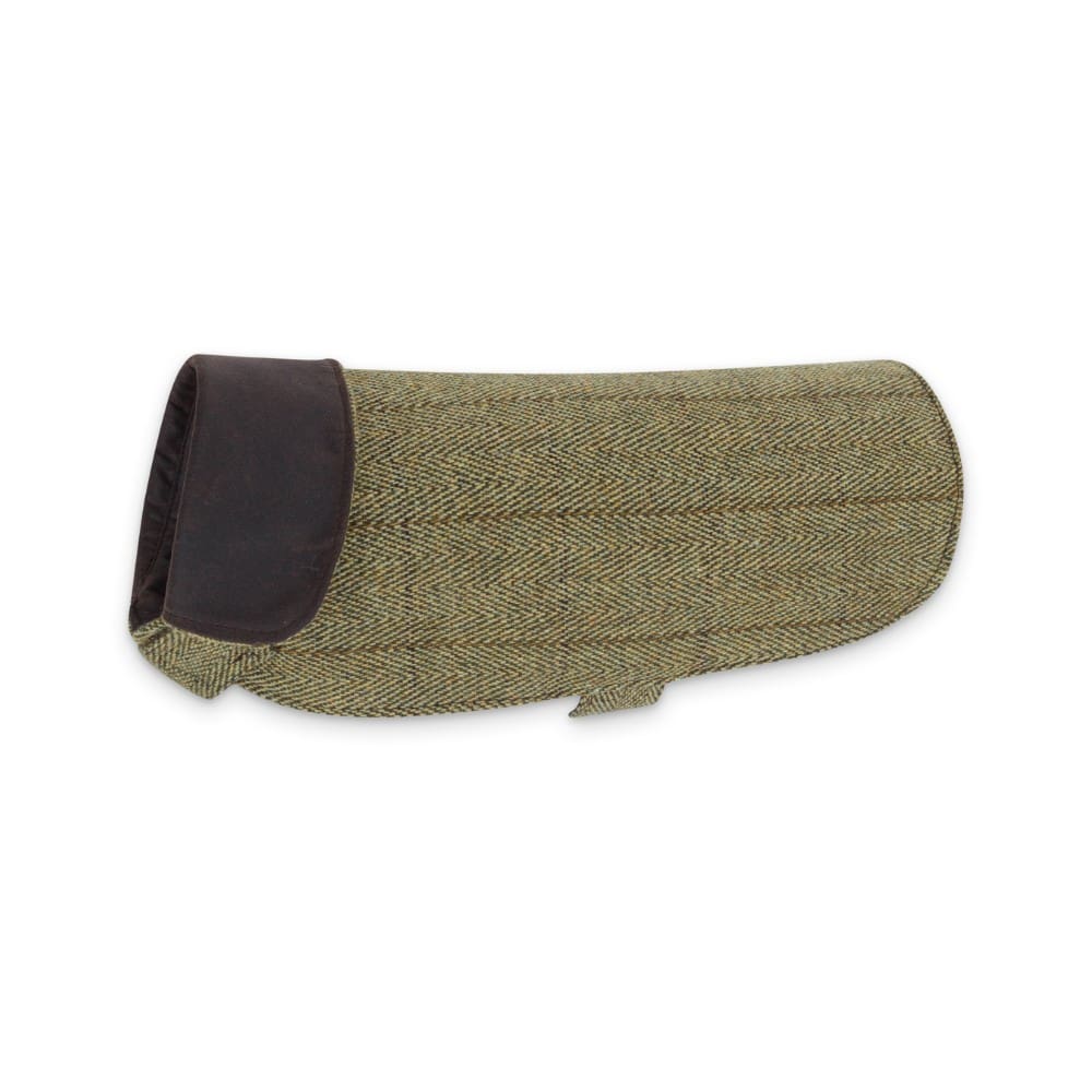 COBREJÃO DERBY TWEED ALFIE PARA CÃO - LIGHT SAGE