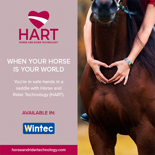 SELA DE DRESSAGE WINTECLITE D'LUX