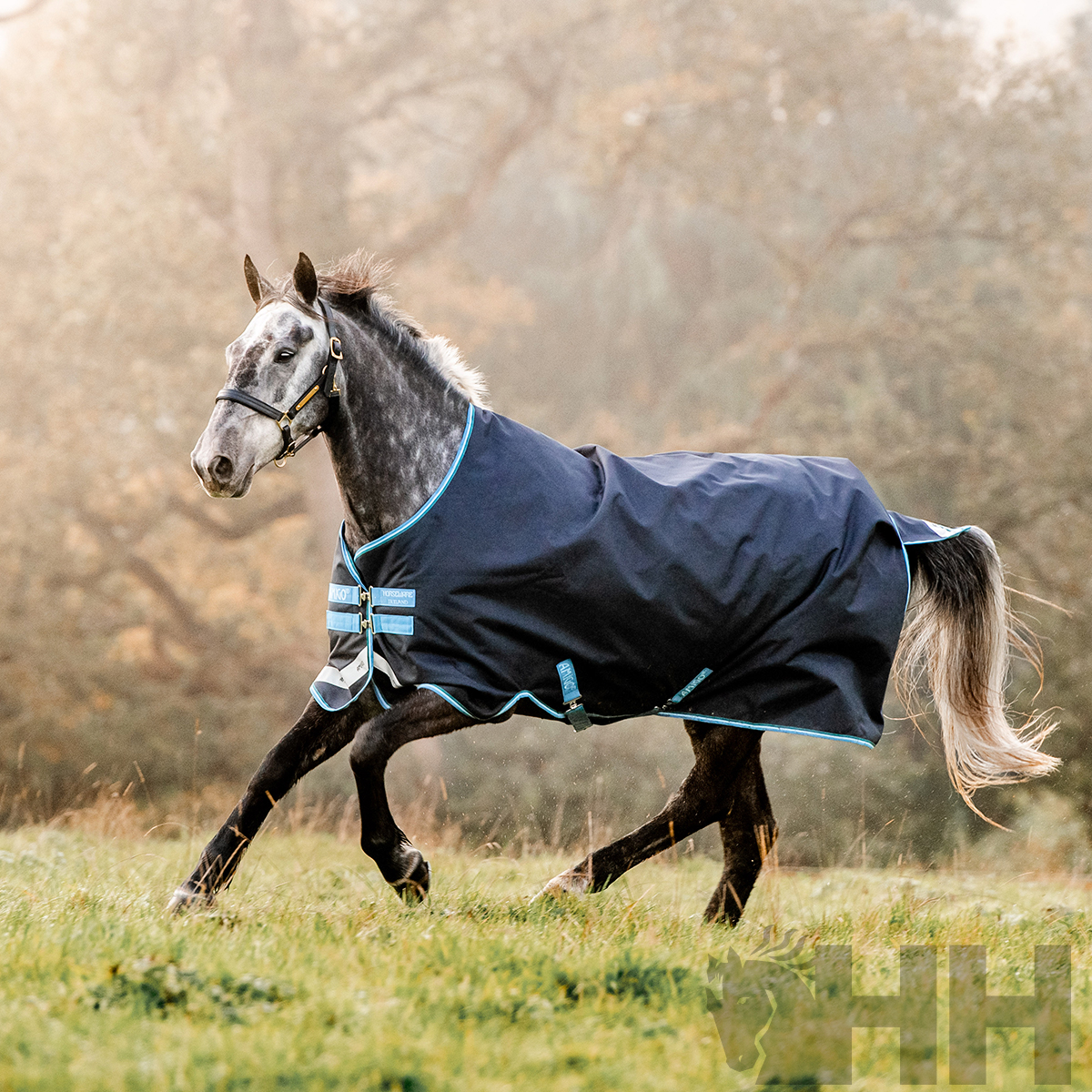 COBREJÃO AMIGO BRAVO 12 ORIGINAL EXTERIOR LIGHT (100g)