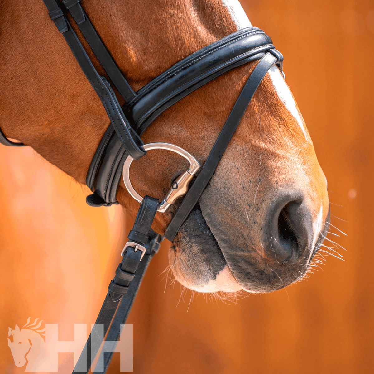 BRIDÃO SPRENGER DYNAMIC RS OLIVA ARGOLA D 65mm TRIPARTIDO com WH ULTRA