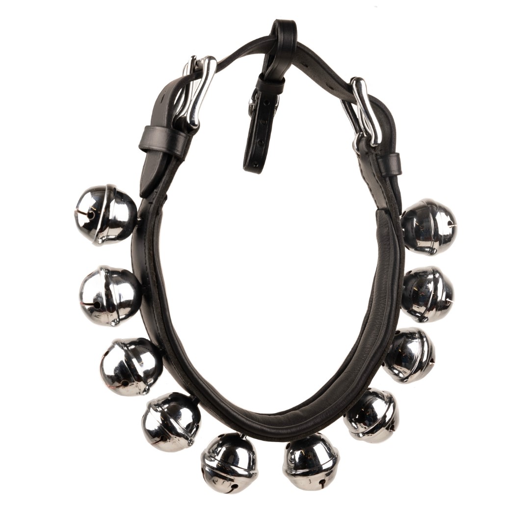 GUIZEIRA IDEAL EQUESTRIAN