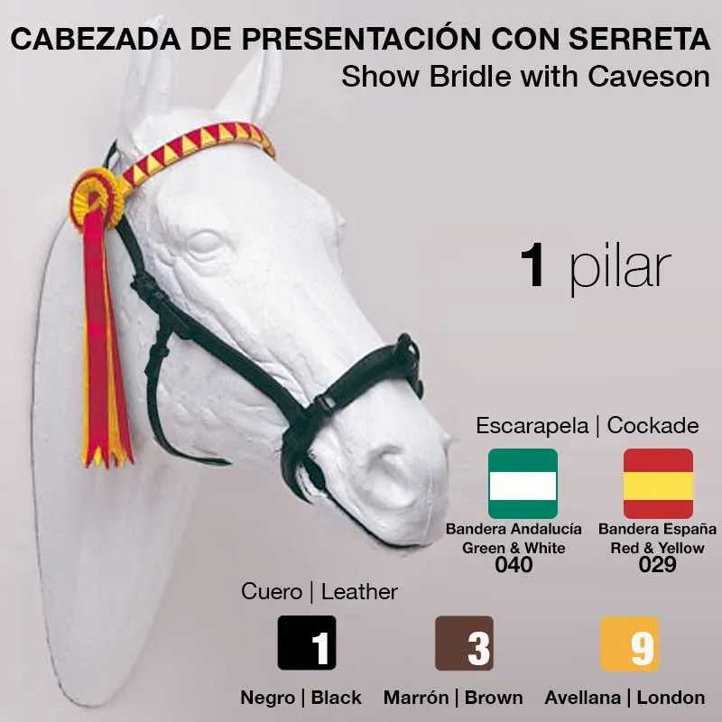 Cabeçada de apresentação preta com serreta e escarapela espanhola numa cabeça de cavalo branca