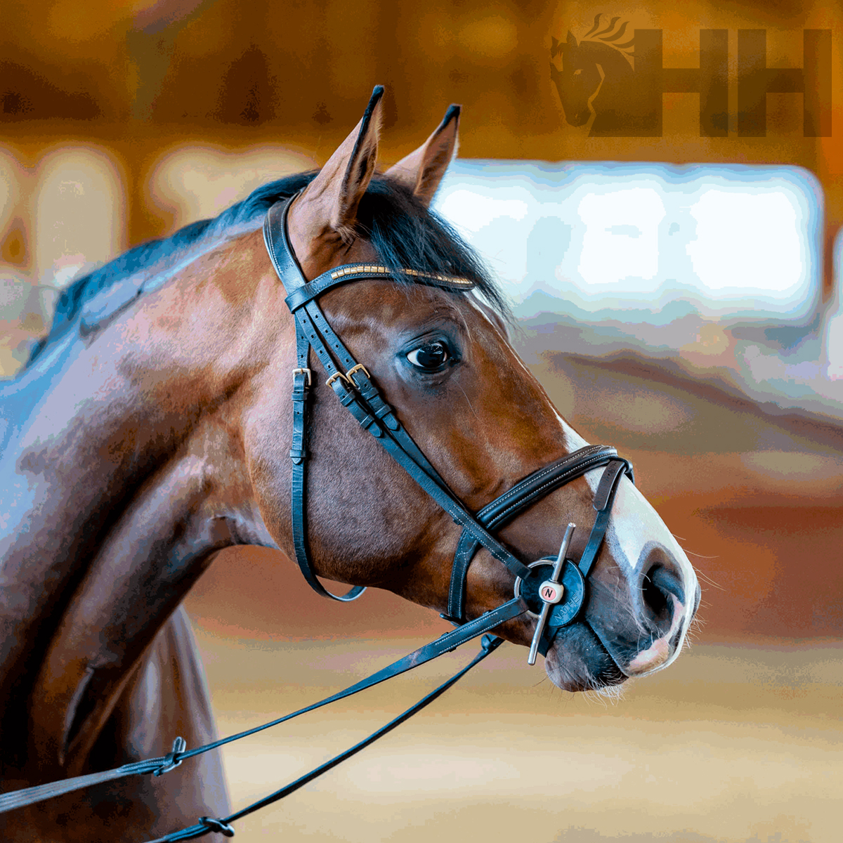 BRIDÃO SPRENGER NATHE TRAVINCAS ARGOLA 55mm