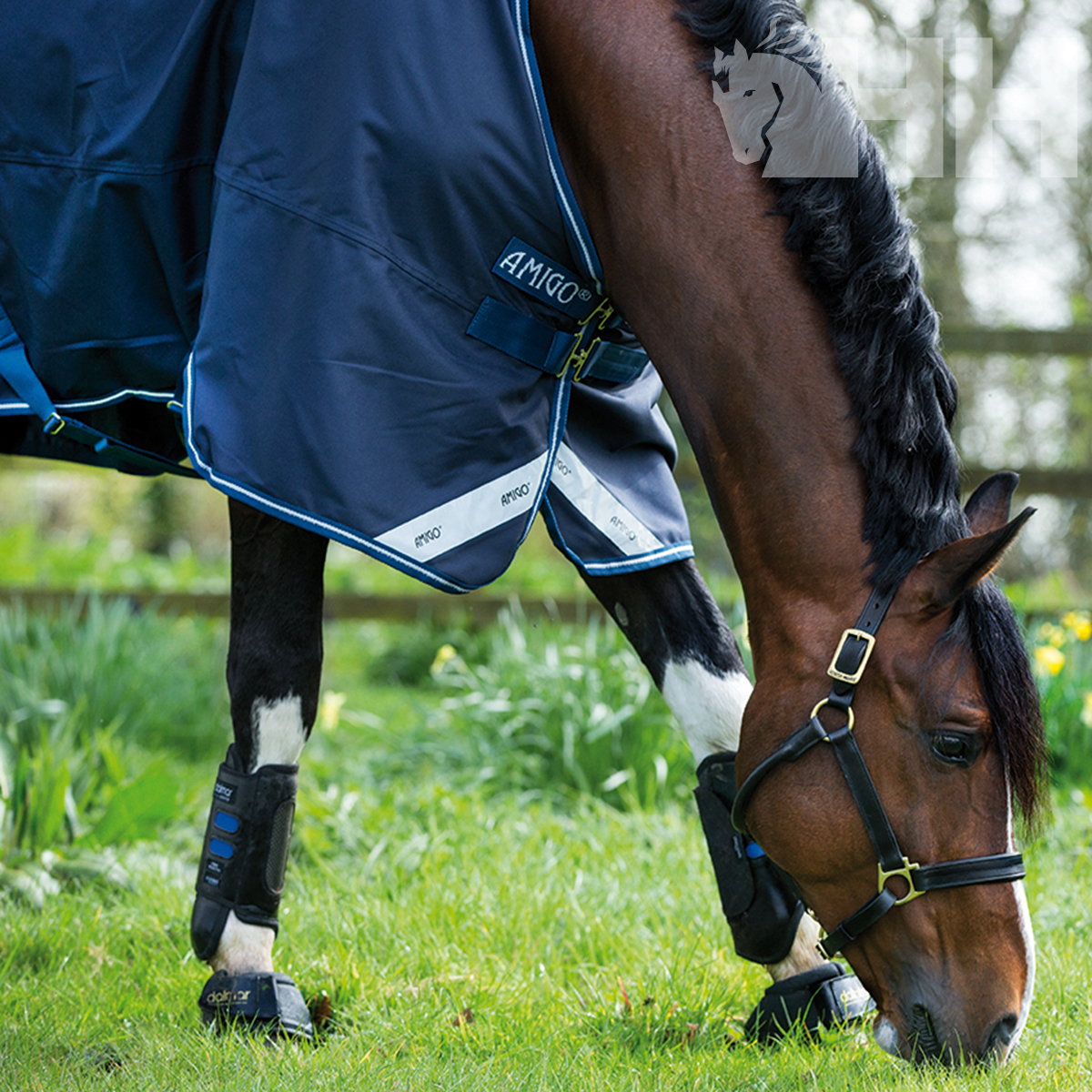 COBREJÃO AMIGO BRAVO 12 ORIGINAL EXTERIOR CHUVA (0g)