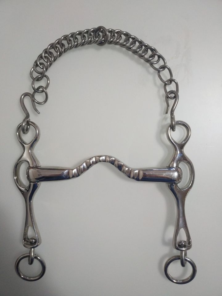 Freio metálico para cavalo prateado com corrente e argolas