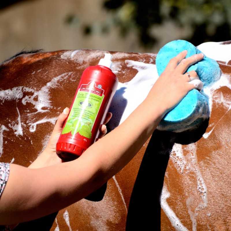 Shampoo KEVIN BACON'S LUCY DIAMONDS GREEN