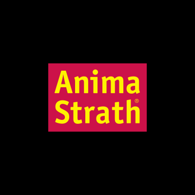 Texto amarelo Anima Strath sobre fundo rosa