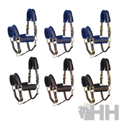 Seis cabrestos para cavalo almofadados azul e preto com ferragens metálicas