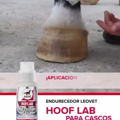 ENDURECEDOR LEOVET HOOF LAB PARA CASCOS