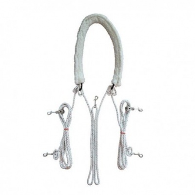 Equipamento branco para escalada com cordas e mosquetões