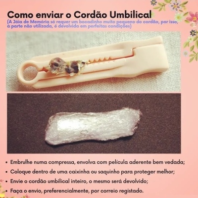Enviar Cordão Umbilical