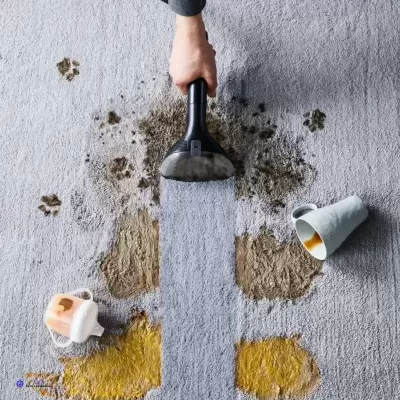 Solução de Limpeza de Estofos e Tapetes Pet Spots & Stain 1L XD5320F0 | Limpa Nódoas e Manchas