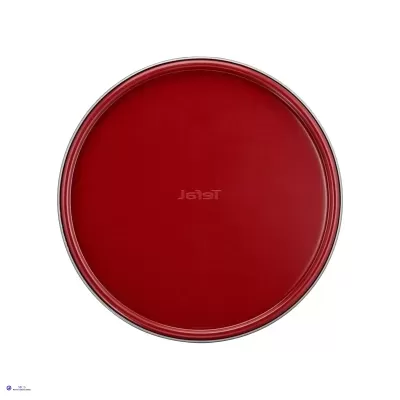 Forma Redonda de 19cm com Dobradiça Tefal Delibake