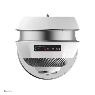 Rowenta Air Force Intense 2 em 1