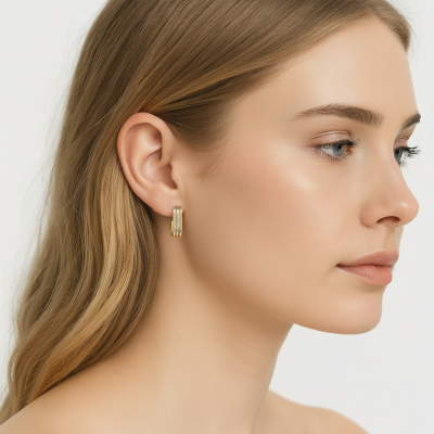 Brincos Duo Arc Gold & Silver