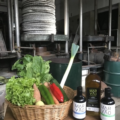 SERVIÇO CRIAÇÃO DE MARCA