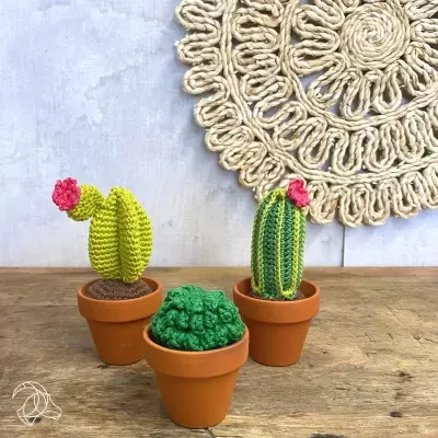Kit Crochet - Cactos