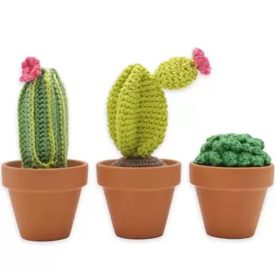 Kit Crochet - Cactos