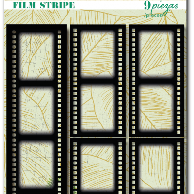 Die Cuts Acetato | SpeakEasy