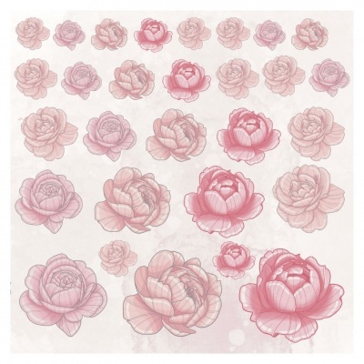 Folha Recortes Poenías | Nórdica | Alazne Vales